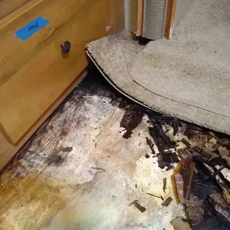 Wood Floor Water Damage in Kasson, MN